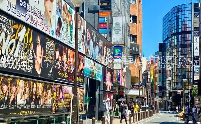 51动画网页版官网